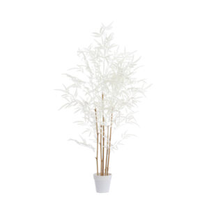 Ornament in pot 70x60x120cm Bamboo naturel+creme